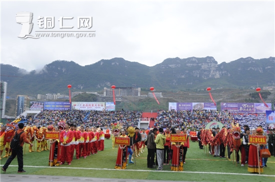 首届“贵州·思南全国舞龙邀请赛”隆重举行