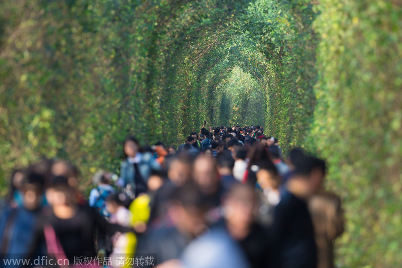 南京“爱情隧道”游客多 环卫工人勤打扫