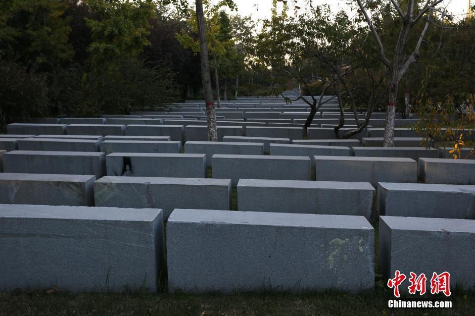 郑州绿化带景观石被指像“无名墓地”