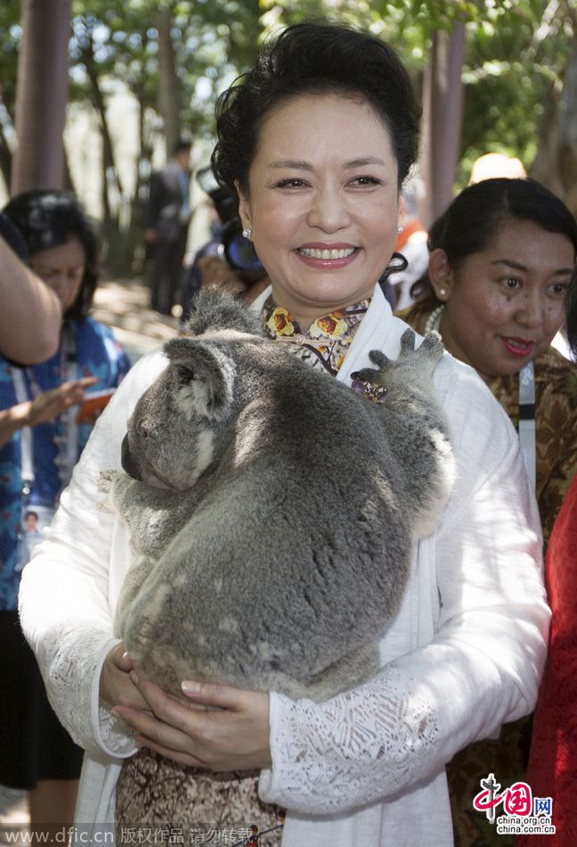 彭丽媛赴澳参加G20峰会拥抱考拉