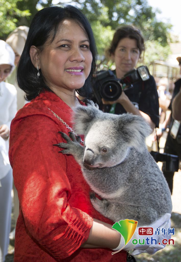 彭丽媛赴澳参加G20峰会拥抱考拉