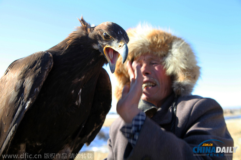 图片故事：71岁哈萨克驯鹰传人恰里普汗