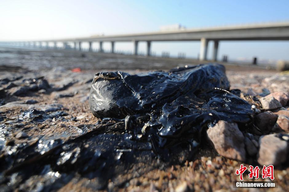 青岛胶州湾部分海滩遭泄漏原油污染