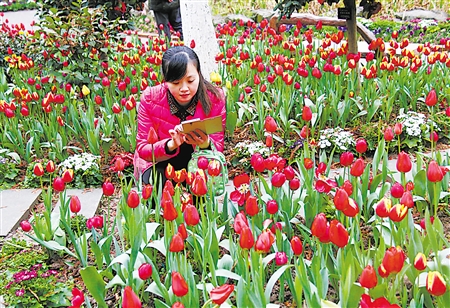 九成网民呼吁延长春节假期：一半时间耗在路上