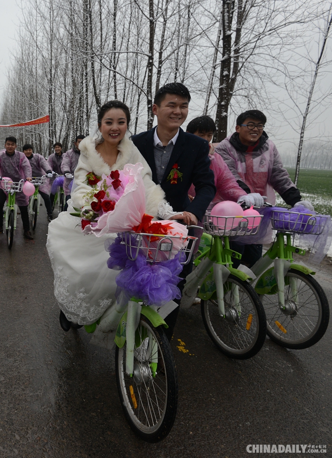 安徽阜阳“90后”青年骑公共自行车迎娶新娘