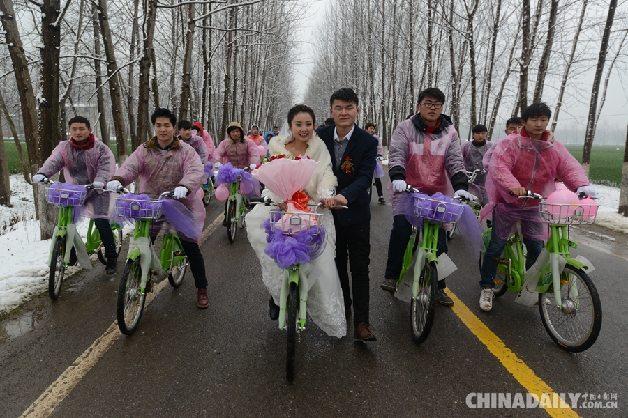 安徽阜阳“90后”青年骑公共自行车迎娶新娘
