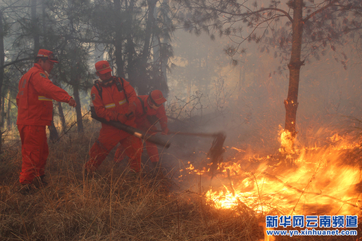 云南呈贡发生森林火情 950多人全力扑救