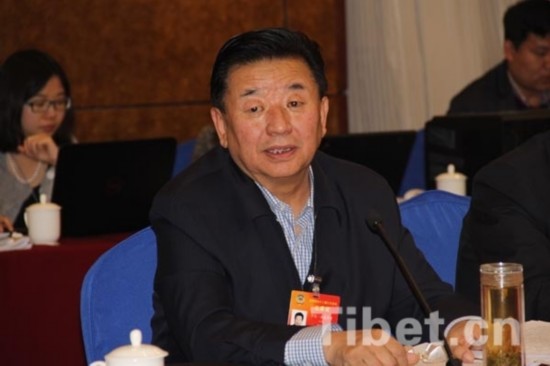 全国政协委员：西藏尚无真正意义上的高速公路