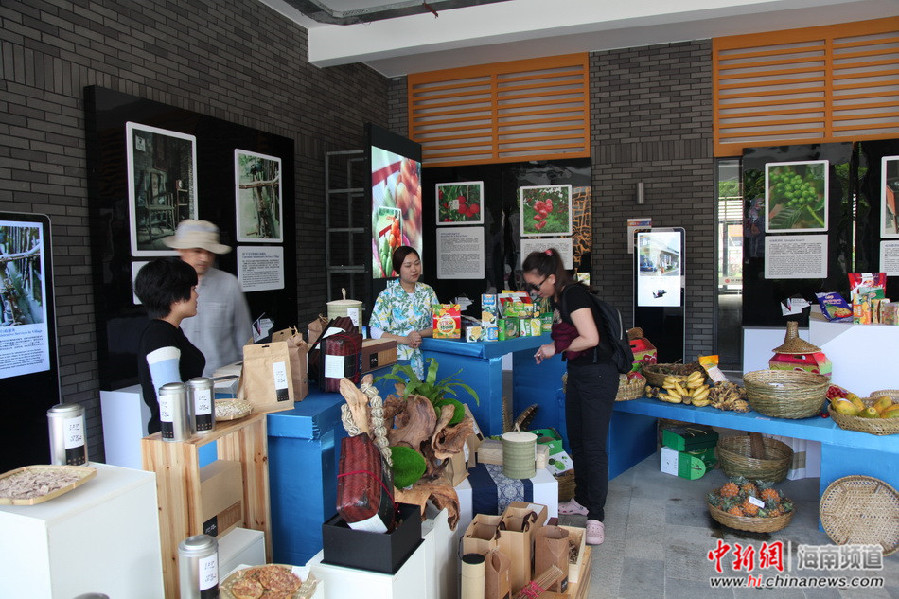 体验海南东盟友城形象展里的特色城市文化