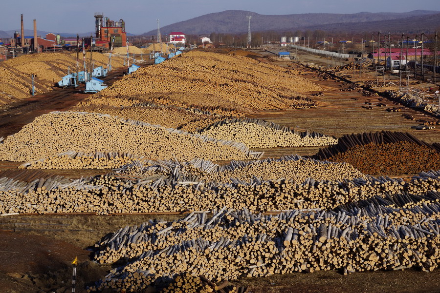 内蒙古大兴安岭停止天然林商业性采伐