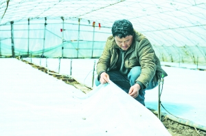 2015年吉林省投入备春耕资金213亿元