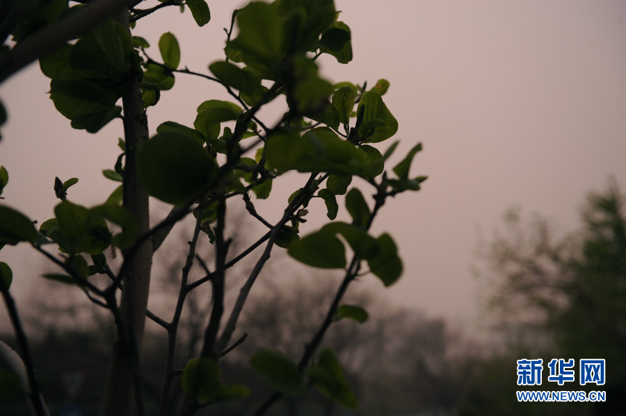 北京遭遇沙尘暴袭击