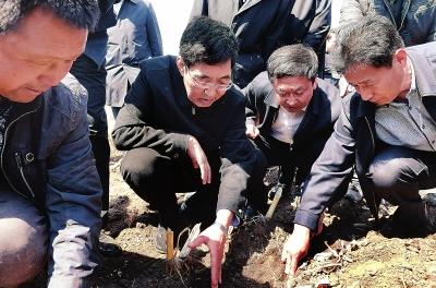 巴音朝鲁在德惠榆树调研时强调：扎实有序抓好春耕生产 全力推进现代农业建设