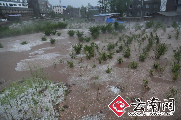 云南永善连续遭受暴雨冰雹灾害致13647人受灾