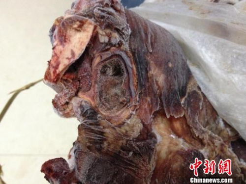 村民因羊被咬死猎杀野生大熊猫 云南官方调查