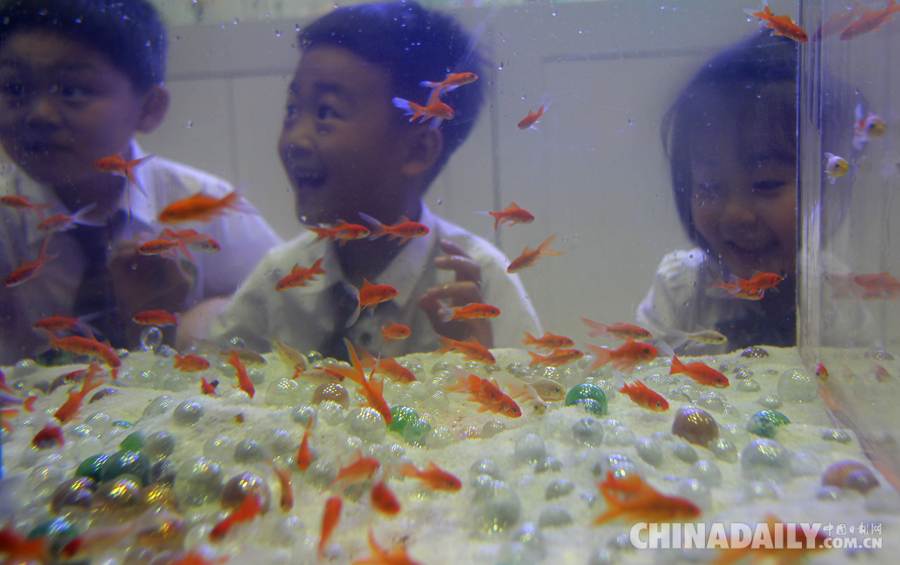 北京海洋馆推出“海洋儿童成长乐园”