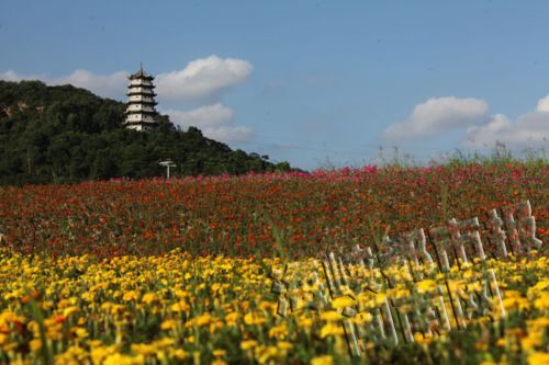 漳州规划东西南北中五大景观区域 3年内恢复“古八景”