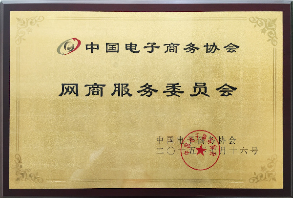 中国电子商务协会网商服务委员会在京成立