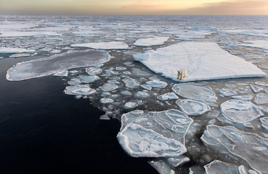 北极熊被困破碎浮冰 极地旖丽风光折射残酷现实