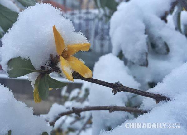 北京如约迎来今冬初雪 今夜降雪还将持续