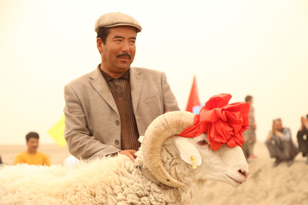 新疆达瓦昆沙漠上演驴羊选美