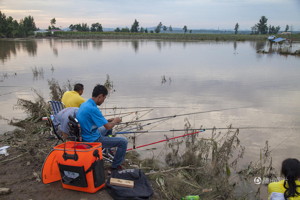洪水淹没玉米地 农民改钓鱼每天钓上百条