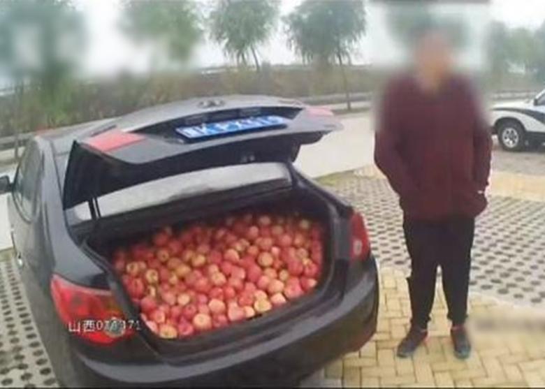 3男子趁大雾在高速偷摘480斤苹果