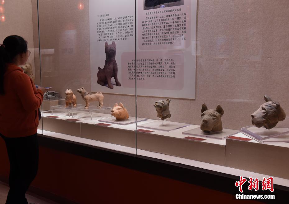 汉代陶狗亮相重庆三峡博物馆
