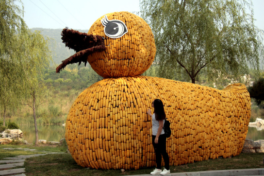 娲皇宫祭秋 男女老少吹葫芦丝挑战吉尼斯