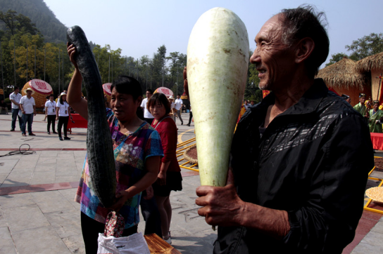 娲皇宫祭秋 男女老少吹葫芦丝挑战吉尼斯