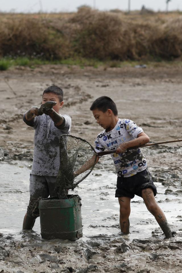 农村的孩儿早当家这么干涸的水塘竟然捉到这么大的鱼